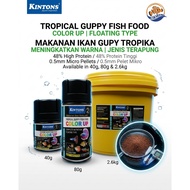 KINTONS Tropical Guppy Fish Color Up Pellet Floating Type Fish Food Fast Growth For FRY