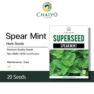 Spear Mint Herb Seeds, 20 Seeds