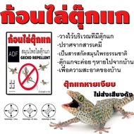 Adf Gecko Repellent Block Natural Herbs