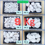 KUPANG WHITE CORAL DECORATIVE STONE (9 KG 1 SACK) GARDEN DECORATIVE