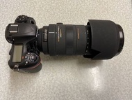 Nikon D500 連Sigma 50-500mm