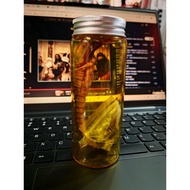 AStoys 1/6 Xenomorph Egg Specimen Container (AS2024-01B )