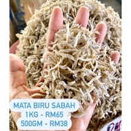 Ikan Bilis Mata Biru Sabah