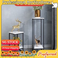 Flower pot stand[SG stock]plant stand/flower stand/plant rack stand/flower rack stand/flower pot sta