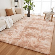 YOBATH Large 6x9 Area Rugs for Living Room Bedroom, Fluffy Fuzzy Shaggy Carpet Shag Rugs for Girls B
