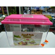 Guppy Plastic Tank 350mm