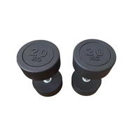 [READY STOCK] 20kg Round Head Dumbbell