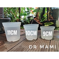 Aroid Exotic Philodendron Orchid Plant Plastic Transparent Clear Pot Mesh Net Pot Flower Pot Transpa