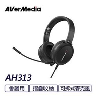 AVERMEDIA 圓剛 AH313 會議耳機麥克風