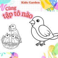 KIDSCOL1 Bird Coloring Set A4 size - Educational toys to help children practice creative coloring