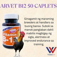 Arvet B12 50 Caplets Conditioning Supplement for Gamefowl Training