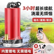 Agricultural Household Small Electric Water Pump DC Submersible Pump Remote Control Wireless Water P