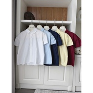 [SHOPPUMI] freesize Pumi 17287 multicolored pointed lotus collar shirt