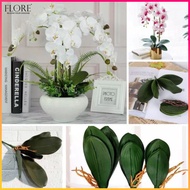 Daun Anggrek Latex/Daun Anggrek Latex Jumbo/Daun Anggrek Artificial