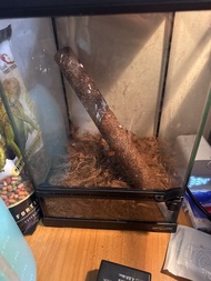 Repti Zoo 爬蟲玻璃飼養箱 爬箱 爬寵缸