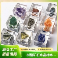 [Set 9 Specimens] Plant Amber Month Sales Fruit Shell Specimen 1,000 Running Rivers Lake Insect Spec