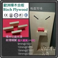 LYU建材 PlayWood 玩木板 歐洲 樺木合板 夾板 木心板  DIY 音箱(整片買 無裁切 恕不零售 )