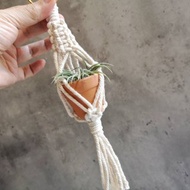迷你植物小吊飾【 Macrame plant hanger 】4cm陶盆-五五