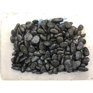 Black pebble stone 0.8 - 1.3 cm ( 1 kg)