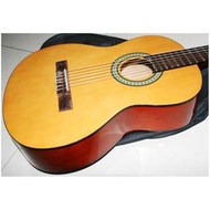 Ibanez GA3NJP-AM Acoustic Guitar