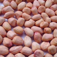 Kacang tanah 500gr