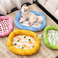 Dog Cat Bed Mattress Pet Mattress Fruits Bed Pet Mattress