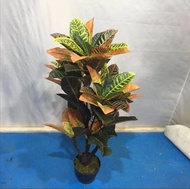 Tanaman Hias Pot Bunga Pohon Puring Macan Plastik Ornamen Dekorasi Buatan Artificial COD PBP81