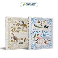 Cá Chép - Combo 2 cuốn: Atlas động vật + Atlas các loài chim