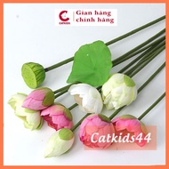 Bach Diep Avalokiteśvara fake lotus, beautiful high-quality silk lotus (up to 99% real)