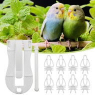 Birds Food Holder Pet Parrot Feeding Clip Cuttlefish Bone Feeder Device Pin Clamp Durable Bird Cage Supplies