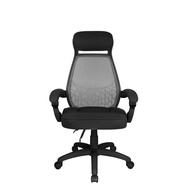 Ergonomic Office Chair เก้าอี้สำนักงาน Fennix