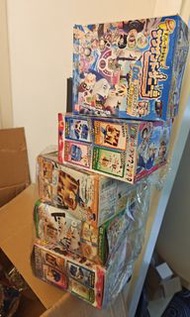 絕版One Piece 航海王 千陽號模型