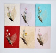 การ์ดอวยพร ดอกกุหลาบใบไม้แห้ง diy แฮนด์เมด ของขวัญ แสดงความยินดี ความสำเร็จ (ขนาด M) Handmade Mulberry Paper Card with Transparent Leaf and Rose (Size M)