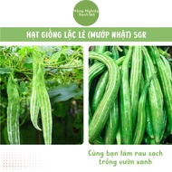 Seeds of Luffa, Luffa, Sweet and Fruity Luffa, Cat Luffa Seeds, Japanese Luffa - 5gr Pack