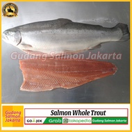 Grosir Salmon Utuh Ekoran/Salmon Whole/Salmon/Ikan Salmon 1 Ekor Segar