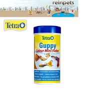 Tetra Guppy Color Mini Flakes (2 sizes)