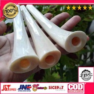 PIPA ONCE IGA DUYUNG ORIGINAL KUALITAS panjang 14-16 cm