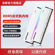Memory Strip Memory Card Memory Strip Whale Judge DDR5 Desktop Phone Memory Strip 16G/32G/48G 4800 5