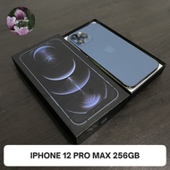 iphone 12 pro max 256 gb