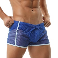 New Sexy Men Underwear Boxer Breathable Mesh Boxershorts Men Male Underpants Cueca Gay Penis Man Pan