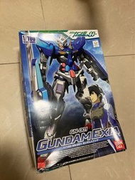 HG 1/100 exia