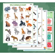 LAMINATED CHARTS | EDUCATIONAL CHARTS | LEARNING MATERIAL | A4 SIZE