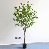 Potted Plants Wholesale Office Plants Indoor Bay Leaves Simulation Simulation Decorative Green Simul
