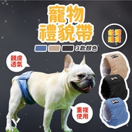 Courtesy Belt Male Dog Pet