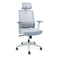 Bewell Ergonomic Chair : GLORY Gen2 GRAY