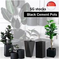 [SG] Black Cement Planter Box Outdoor Fiberglass Pot Planters Black Cement Pot