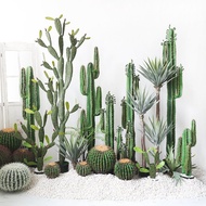 Nordic Internet Celebrity Ornament Measuring Stick Cactus Fake Plant Large Soft Decoration Cactus In