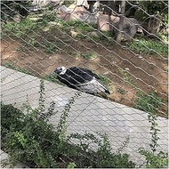 Wzmazingly Wire Mesh Poultry Fence, Stainless Steel Rope Wire Mesh For Stair Safety Fence, Poultry N