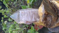 白水晶骨幹~水膽~擺飾