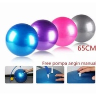 Gymball 65cm/Gym Ball/Yoga Fitness Ball Aerobic Sports Equipment